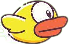 bird-img
